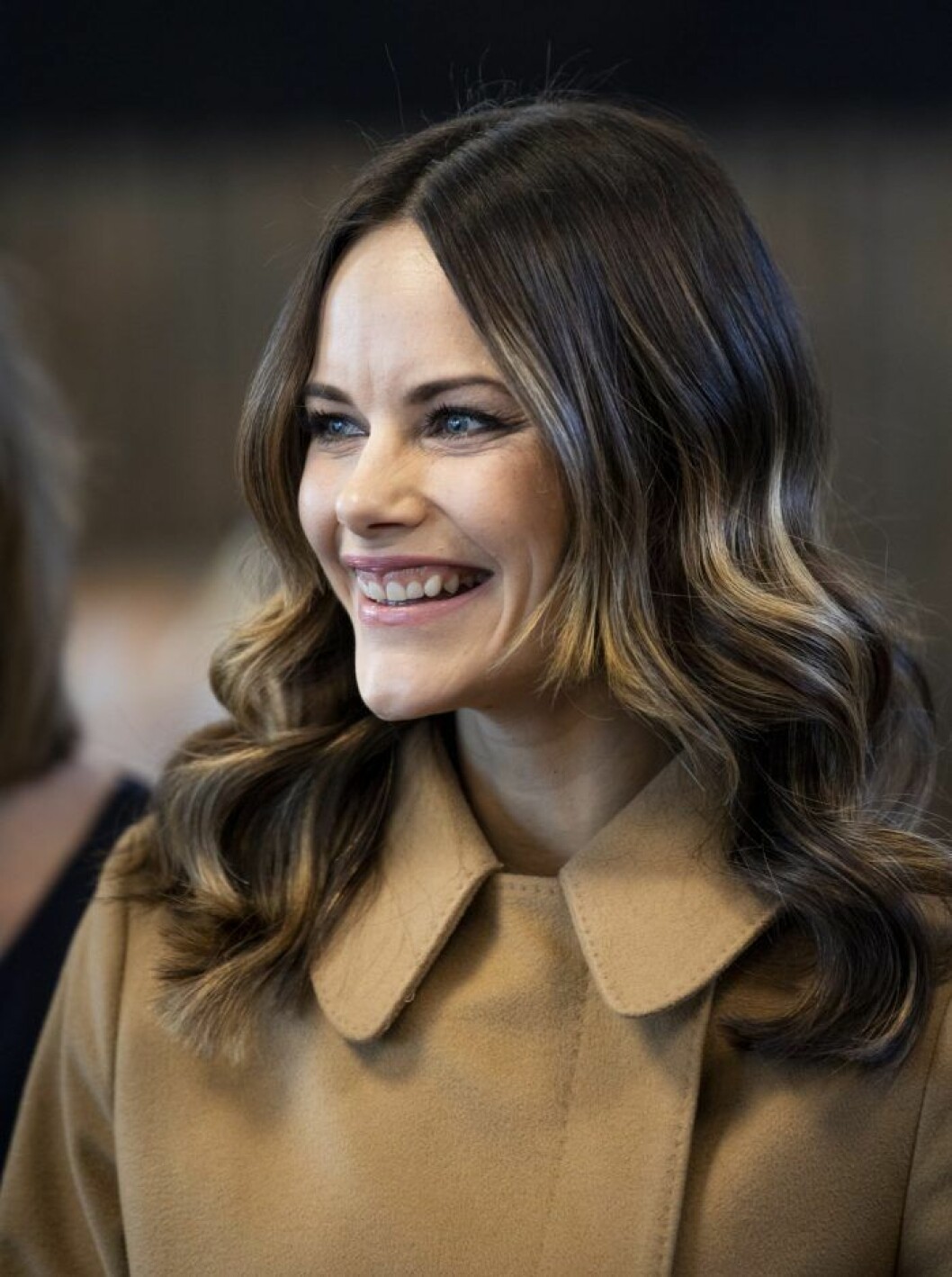 I november 2019 var prinsessan Sofia glad under ett besök på Älvdalsskolan i Älvdalen I november var prinsessan Sofia glad på ett besök på Älvdalsskolan i Älvdalen
