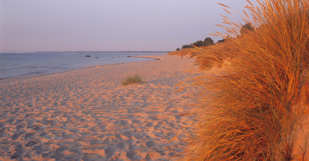 Strand Böda