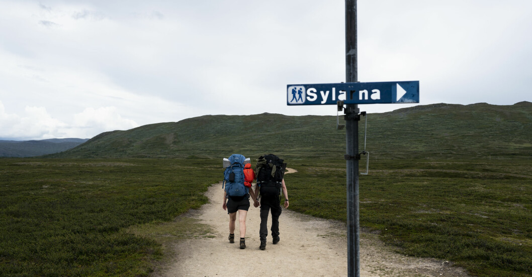 Vandringen mellan mellan Storulvån och Blåhammaren bjuder på kraftig stigning och vacker natur. Vandring i Jämtlandstriangeln, mellan Storulvån och Blåhammaren.