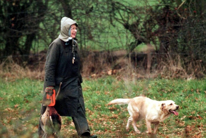 Drottning Elizabeth på fasanjakt 1995. Drottning Elizabeth på fasanjakt.