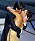 Adrien Brody kysste en oförberedd Halle Berry på scenen, efter att ha vunnit ett pris vid Oscarsgalan 2003.