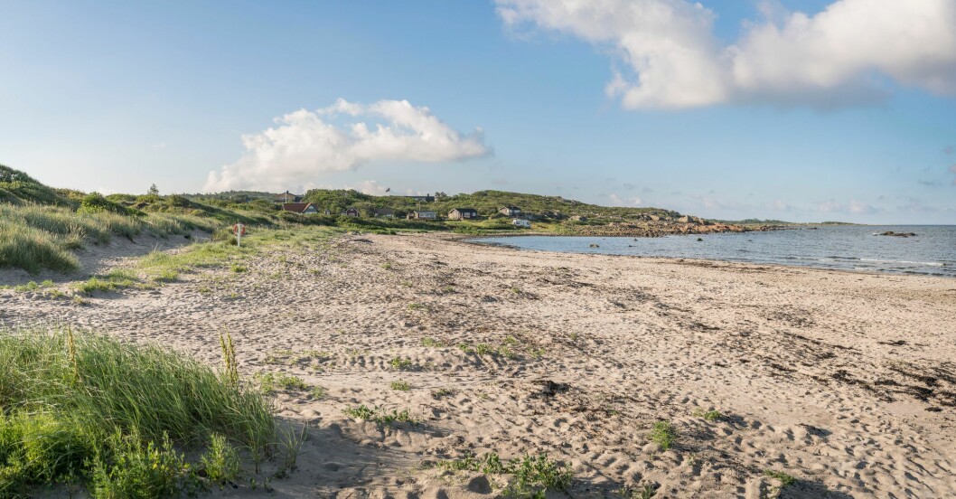 Folktomt och vackert på Steningestrand. Steningestrand nära Halmstad.