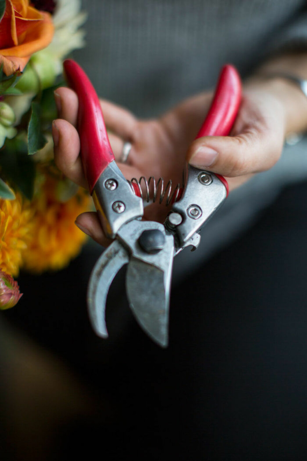 Sekatören – floristens bästa vän. Sekatören – floristens bästa vän.