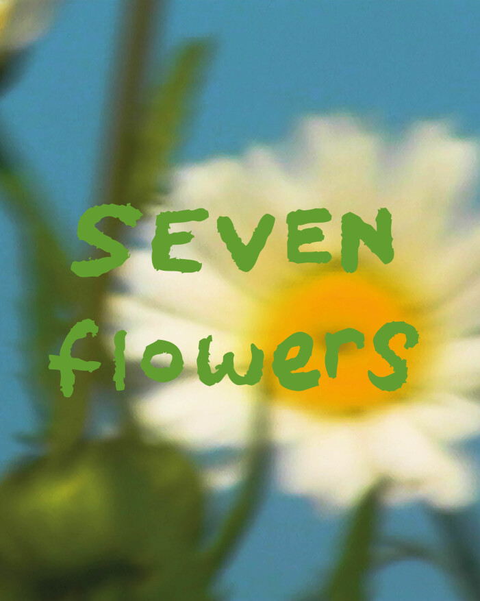 blommig imagebild för att fånga känslan av seven flowers hair mist