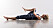 Kvinna som ligger på golvet och stretchar baksida lår genom att böja benet.