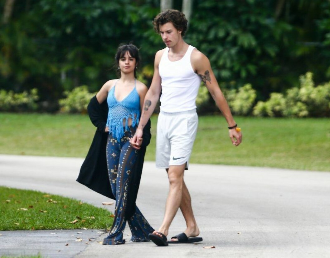 Shawn Mendes och Camila Cabello under karantän. Shawn Mendes och Camila Cabello går promenad i mjukiskläder