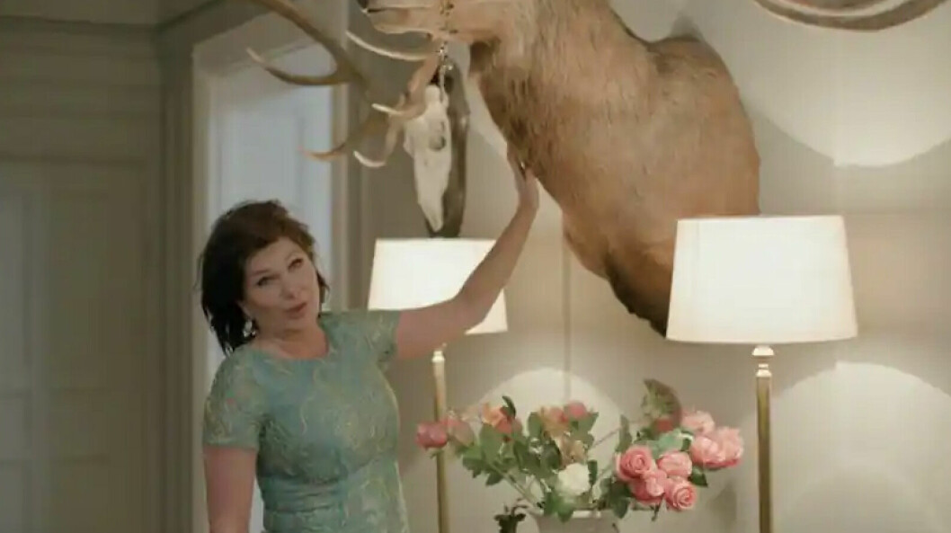 En av många jakttroféer i hemmet. hemma hos Dominika Peczynski och Anders Borg
