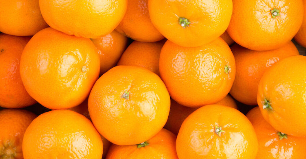 Skillnad mellan clementin mandarin Femina