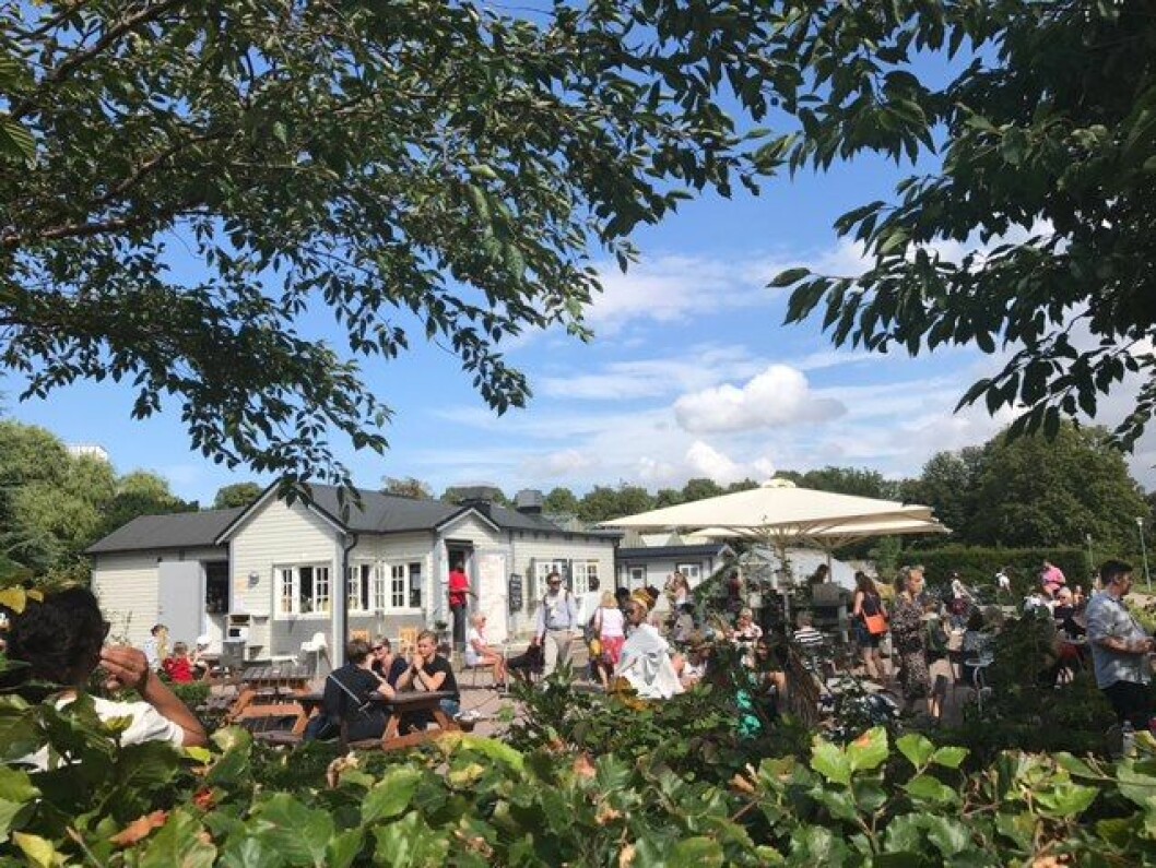 Slottsträdgårdens Kafé bjuder på såväl fika som vin och växtlighet. Foto: Slottsträdgården Slottsträdgården Malmö.