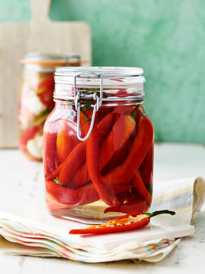 Perfekt om chiliskörden blivit rik. Picklad chili