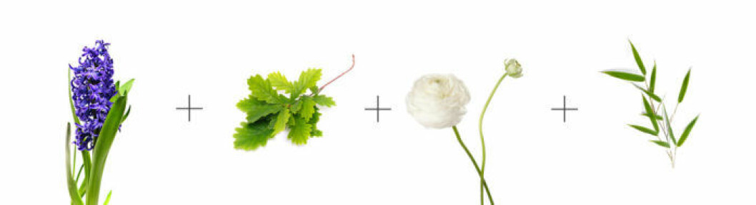 snittblommor-kombination3-vit-bg