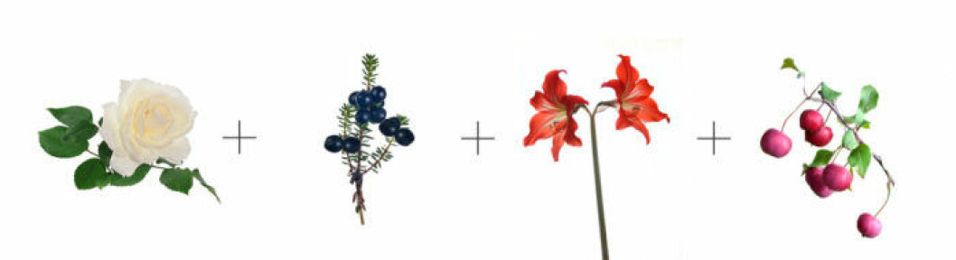 snittblommor-kombination5-vit-bg