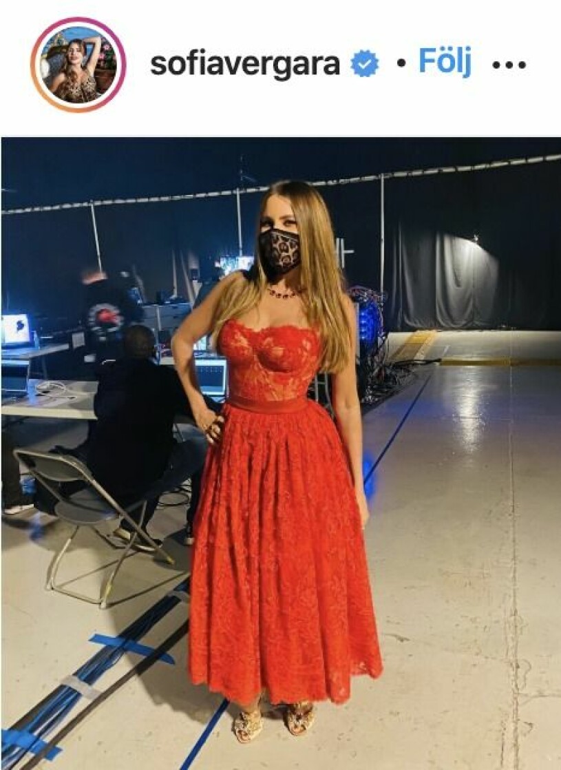 Sofia Vergara. Sofia Vergara