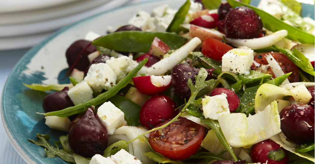 fräsch sallad med bönor och endiv