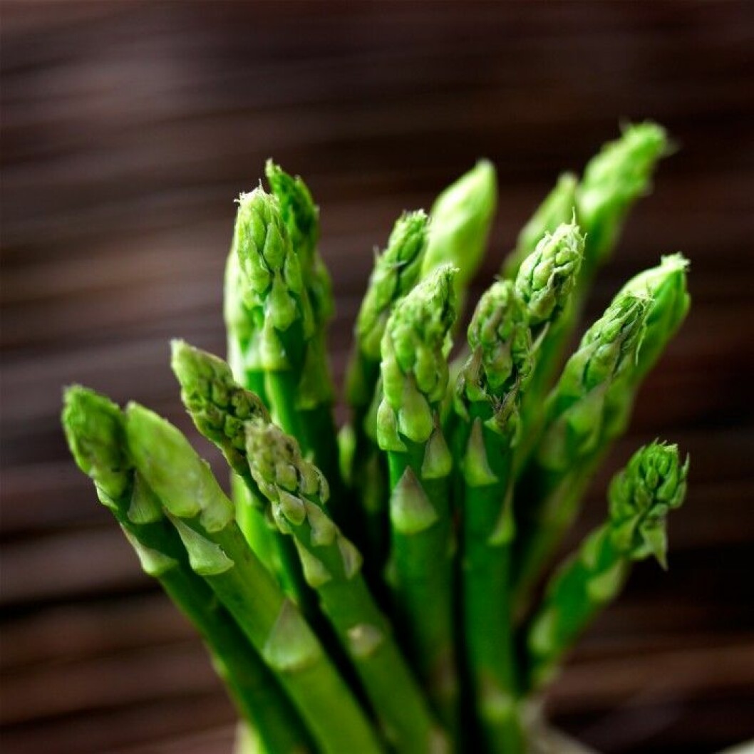 <strong>SPARRIS</strong>. Middagstips! <a href="https://www-master.femina.se/sparris-med-ort-och-citronaioli/" target="_blank">Sparris med ört- och citronaioli</a>. Sparris. Middagstips! Sparris med ört- och citronaioli.