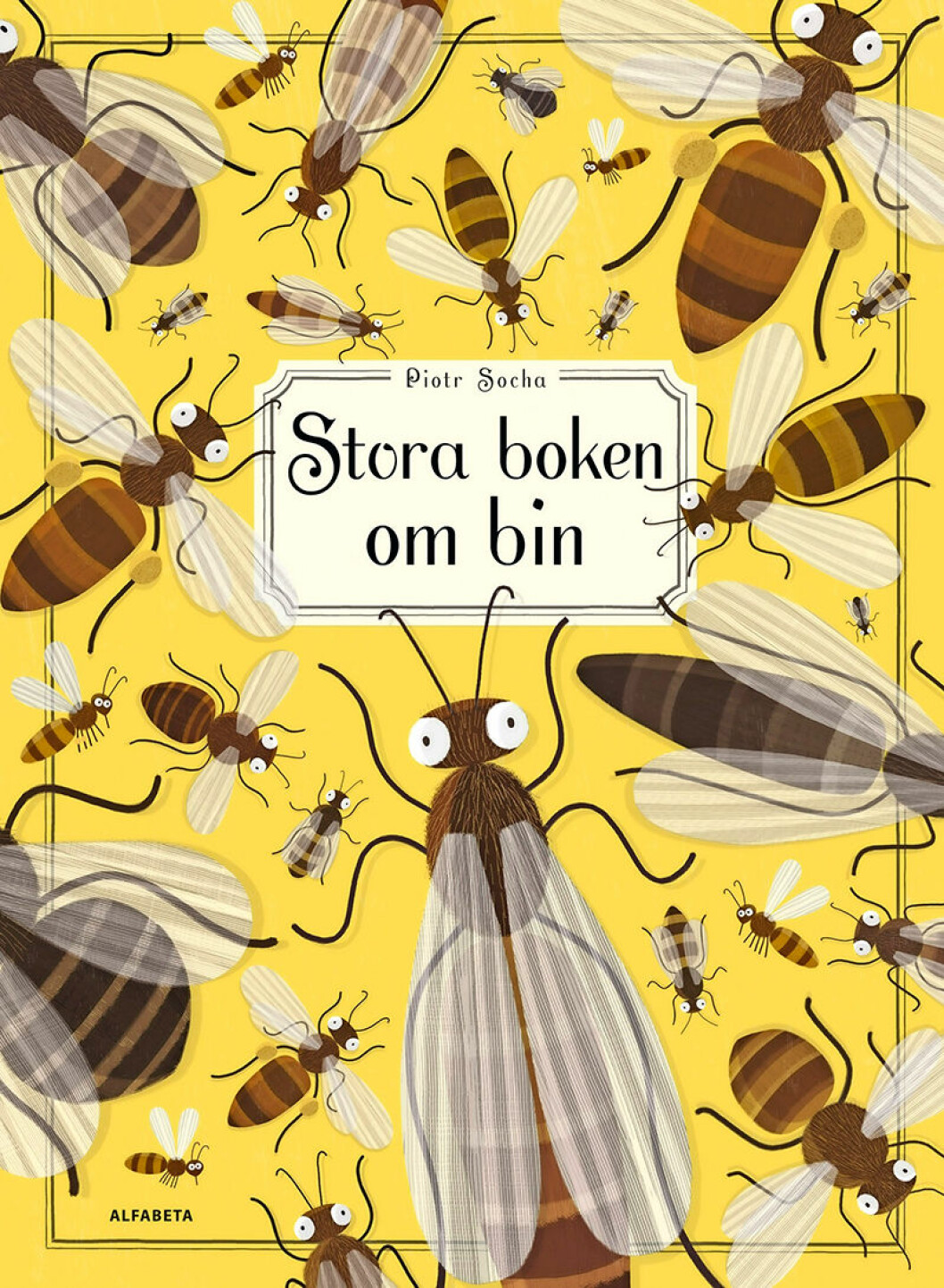 stora boken om bin