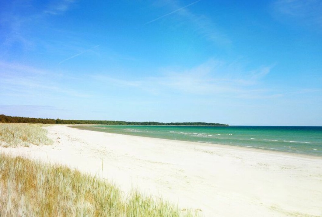 Foto: Erica Karlsson Stranden Sudersand på Fårö.