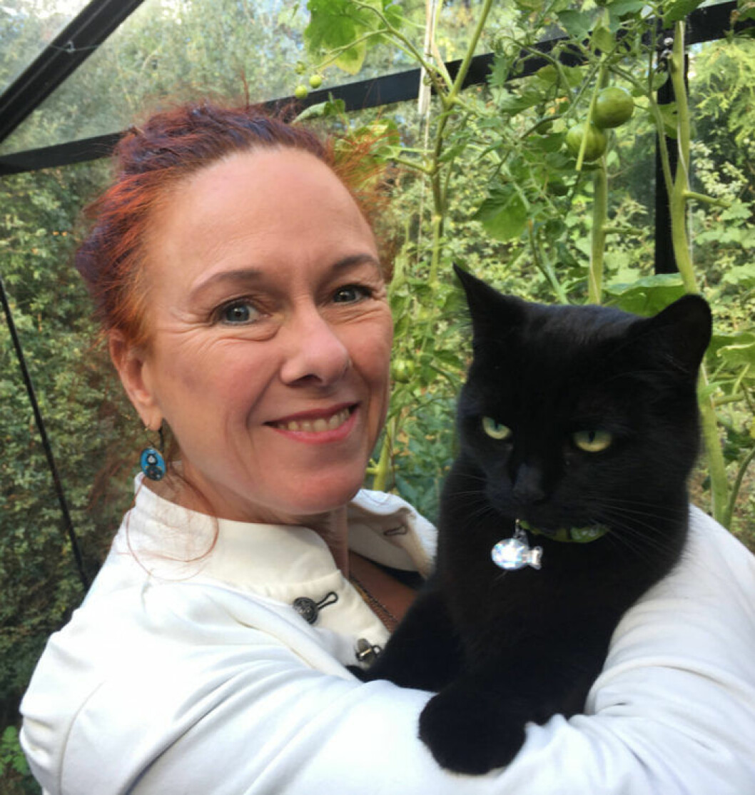 Susanne Schötz, docent i fonetik, lyssnar på och analyserar katternas språk. Här med egna katten Donna. Bild: Lars Gustafsson. Suzanne Schötz forskar om katternas språk