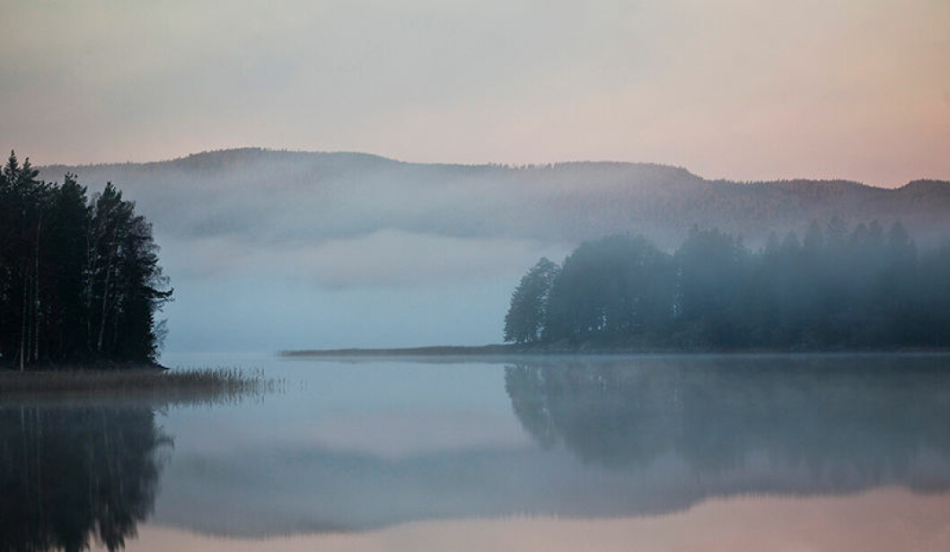 Svartstilla är ett uttryck som används i norska Vestlandet, det är när vattnet ligger helt stilla och blankt. Det är också namnet på Susanne Skogstads hyllade debutroman. svartstilla norge