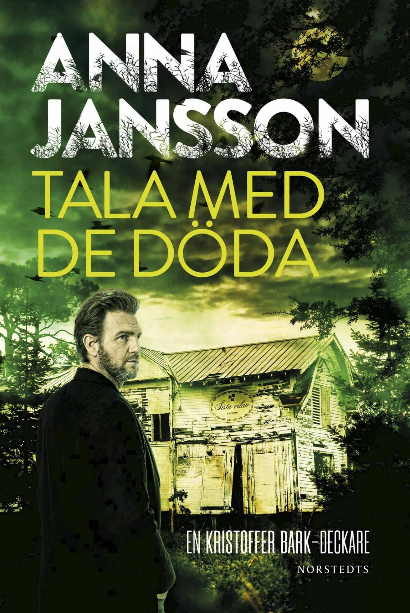 Tala med de döda av Anna Jansson.