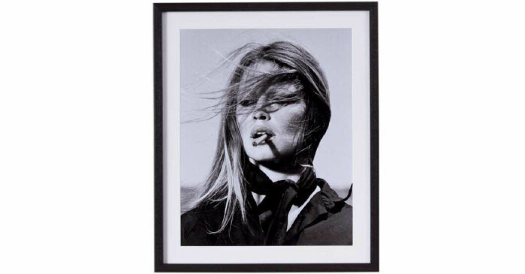 Tavla med med Brigitte Bardot