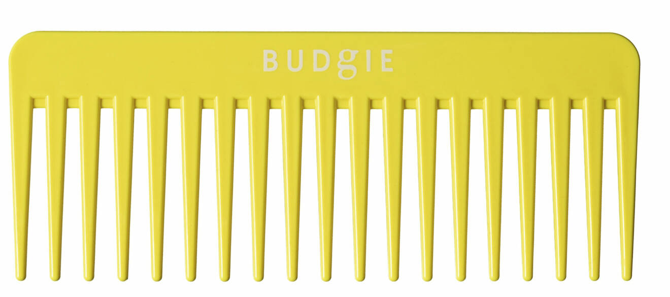 The Comb, kam från Budgie