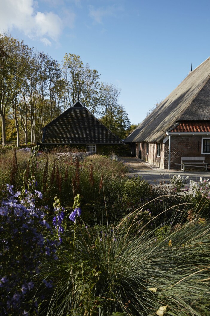 Thomas Eyck huset Groningen