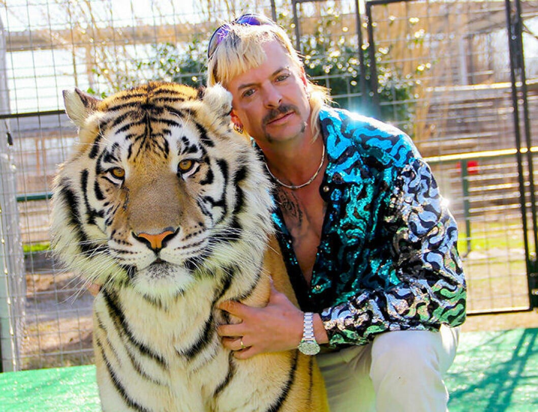 En bild på Joe Exotic i tv-serien Tiger King på Netflix.