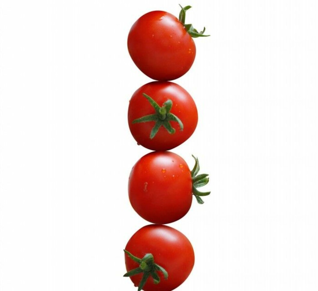 Tomat.<br>Tomater innehåller det röda färgämnet lycopen, som är 100 gånger mer effektivt som antioxidant än vitamin E. Det hjälper till att skydda huden mot för tidigt åldrande, som orsakats av till exempel för mycket solande. Lycopen stärker också syn och minne. Tomat. Tomater innehåller det röda färgämnet lycopen, som är 100 gånger mer effektivt som antioxidant än vitamin E. Det hjälper till att skydda huden mot för tidigt åldrande, som orsakats av till exempel för mycket solande. Lycopen stärker också syn och minne.