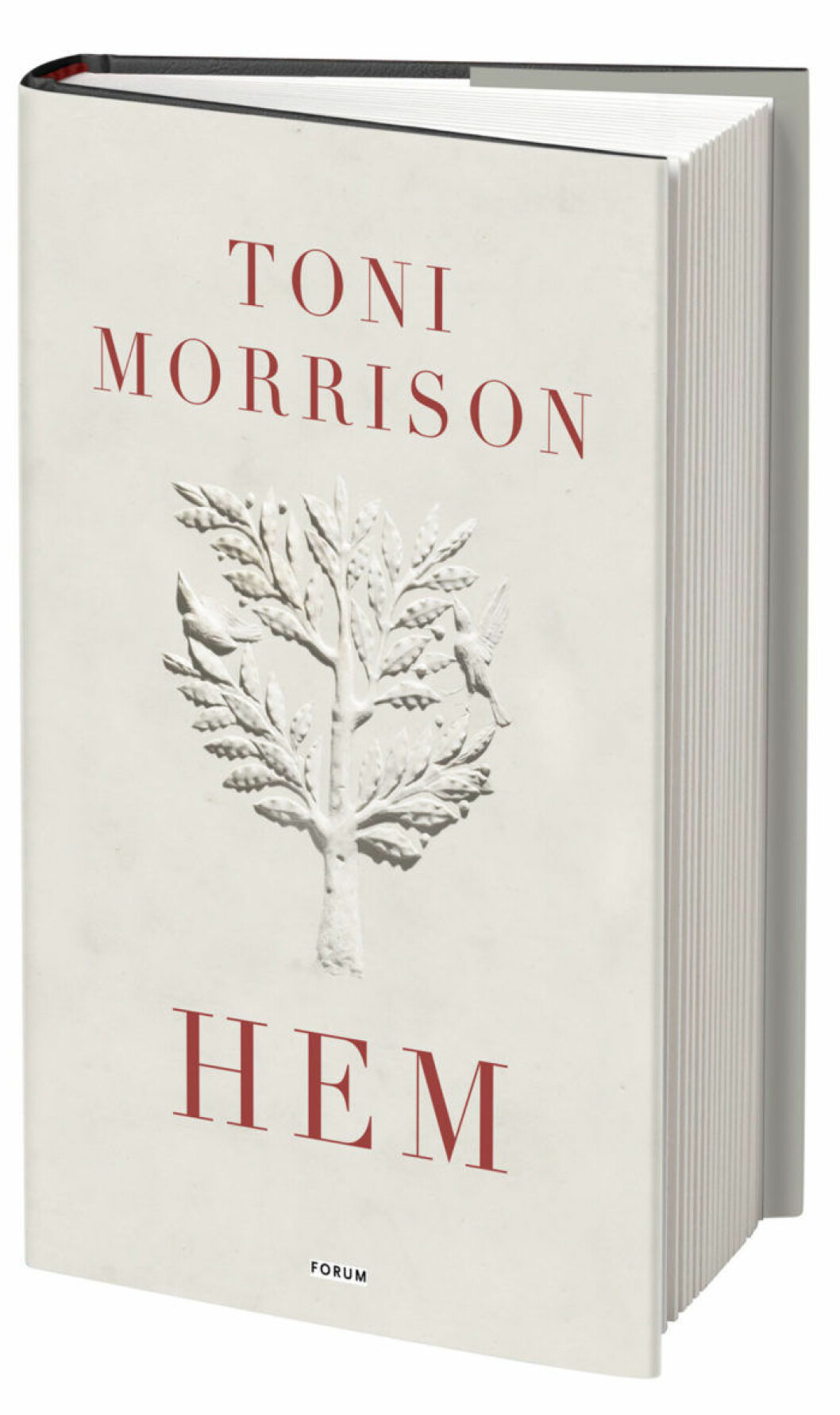 Hem av Toni Morrison
