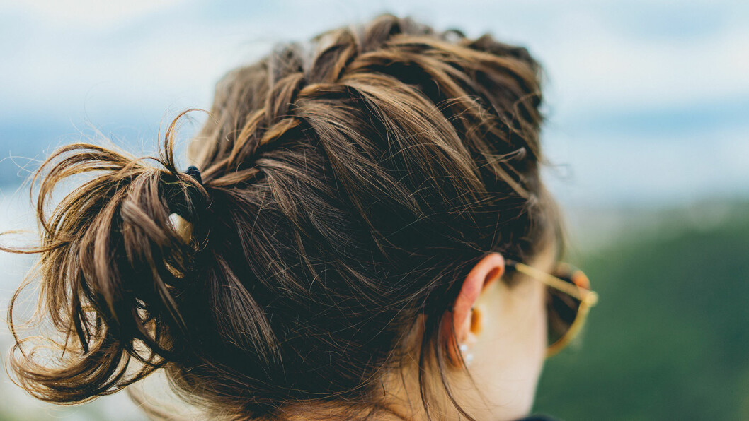Foto: Dan Gold/Unsplash