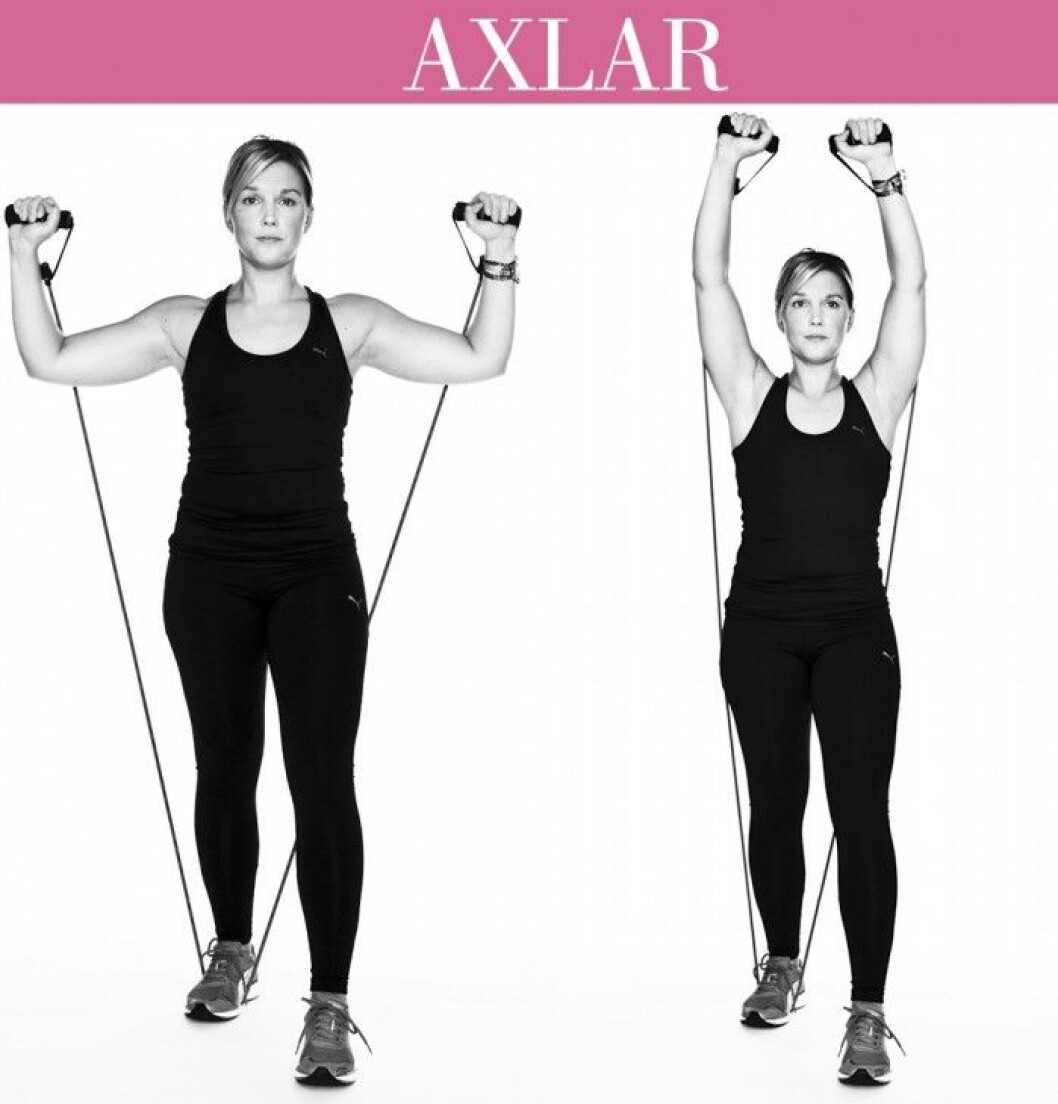 trana-axlar
