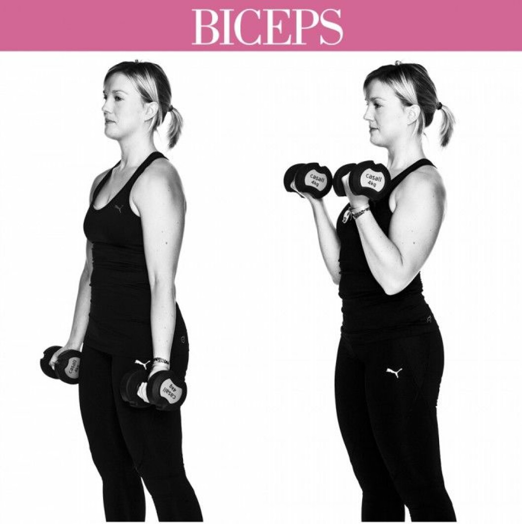 trana-biceps