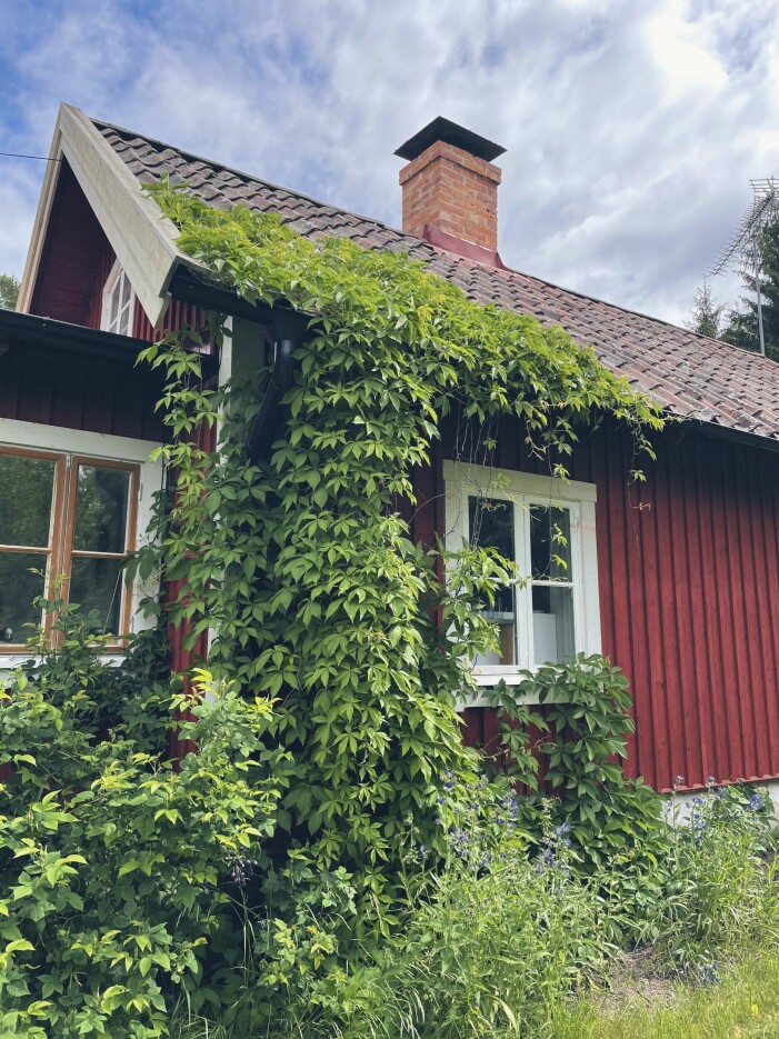 I torpet utanför Mariefred är livet långsammare. Torp ute i Mariefred.