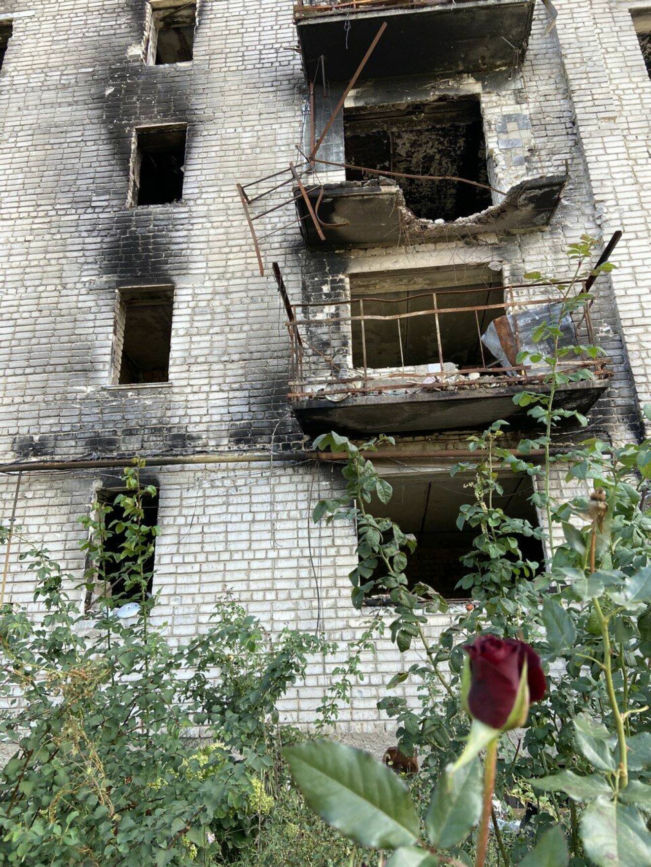 Ukraina bombat hus