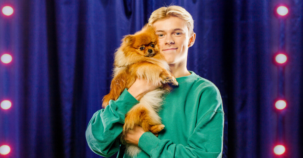 Theoz hund Underdogs