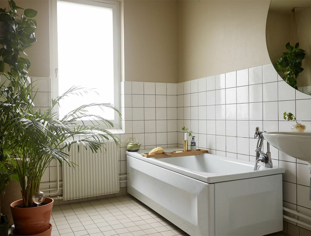 Väggfärgen kan bli badrummets blickfång. Foto: Fredric Boukari Styling: Åsa Copparstad för <a href="https://www.instagram.com/historiskahem/?hl=sv" target="_blank" rel="noopener">Historiska hem</a>/mäklare: Mattias Öhman Badrum med målade väggar och grönska