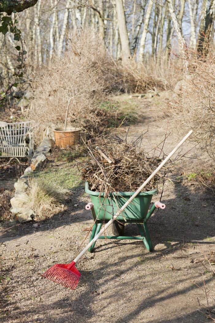 När det torkat upp lite är det dags för att räfsa gräsmatta och gångar fria från löv. Snabbstäda med räfsan.