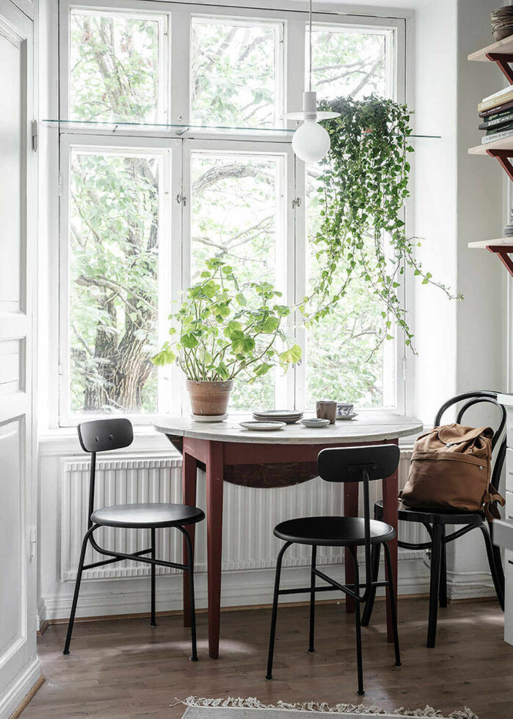 Gröna växter i ljust kök compact living-matplats