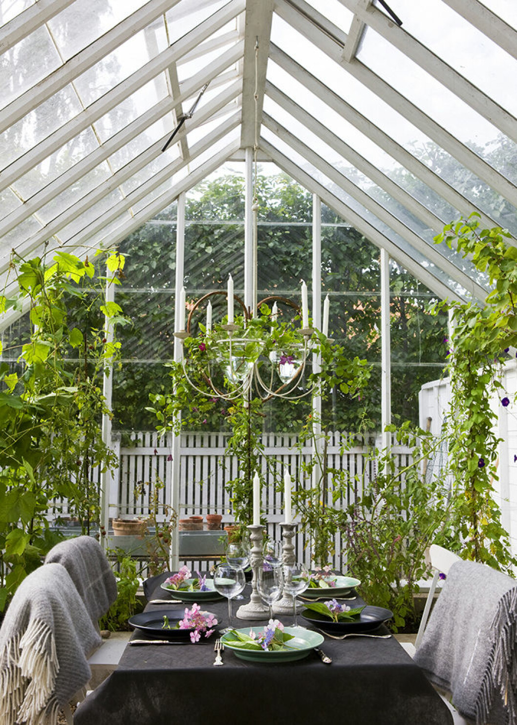 Foto: Klas Sjöberg/<a href="http://swedengreenhouse.se/" target="_blank" rel="noopener">Sweden Green House</a> Rama in matplatsen i växthuset eller orangeriet med gröna växter.