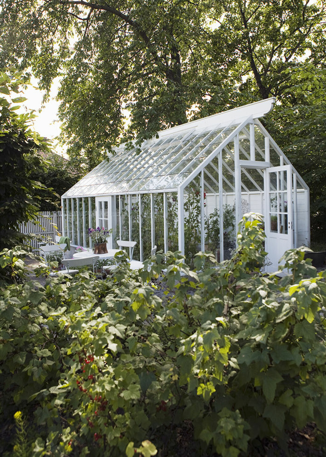 Foto: <a href="http://swedengreenhouse.se/" target="_blank" rel="noopener">Sweden Green House</a> Glöm inte utsidan av växthuset – dekorera och inred trädgården