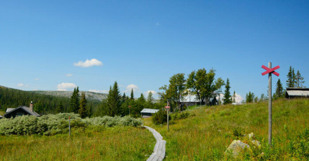 Bild: Vemdalen.se vemdalen
