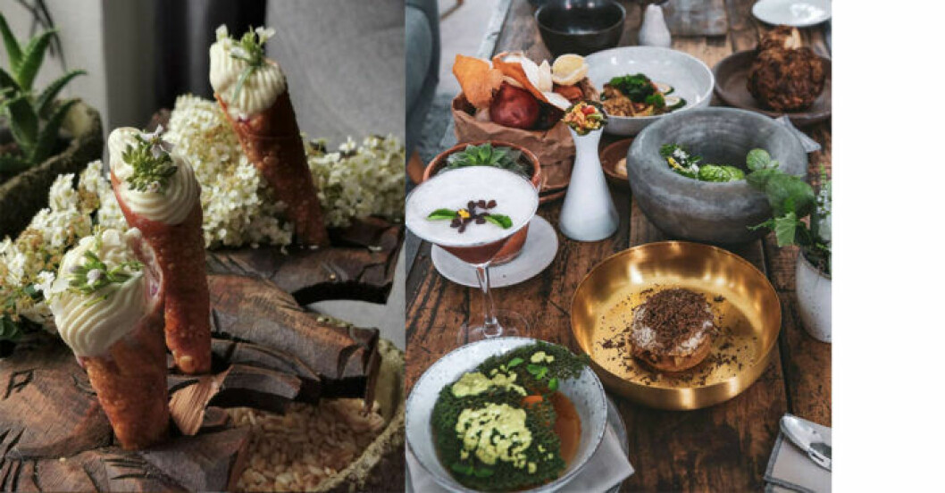Vegansk mat av mycket hög klass på VeVe. Vegansk mat av mycket hög klass på VeVe.