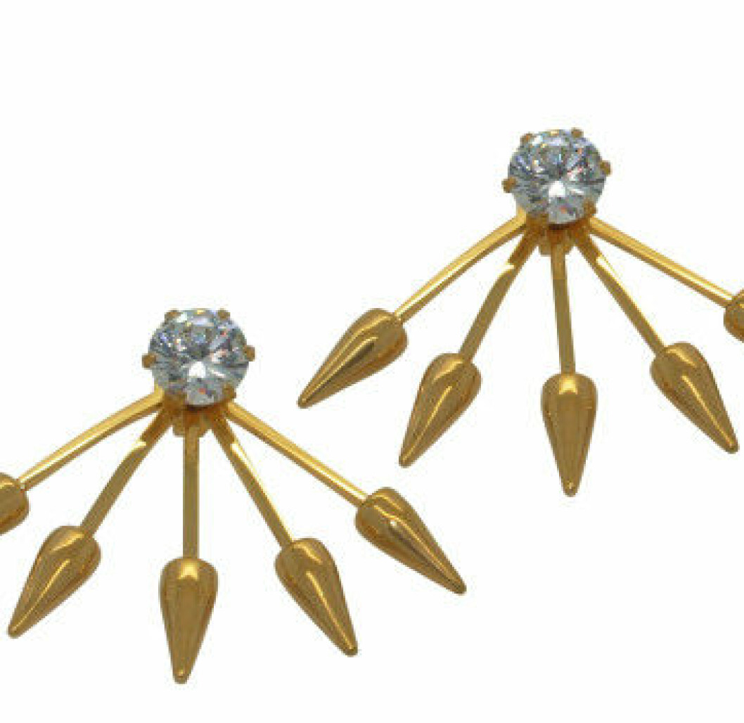 vit julstjärna fönster guld