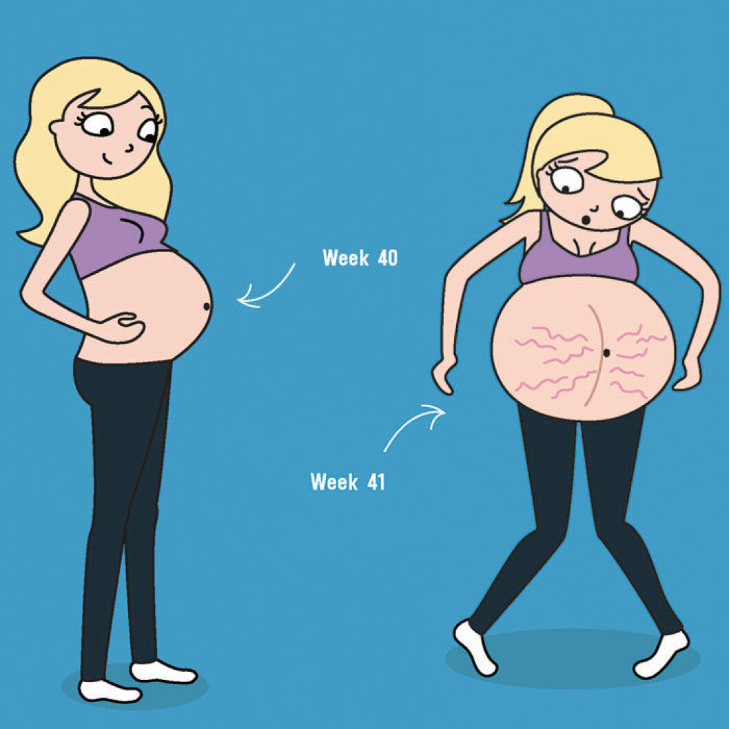 week-40-41