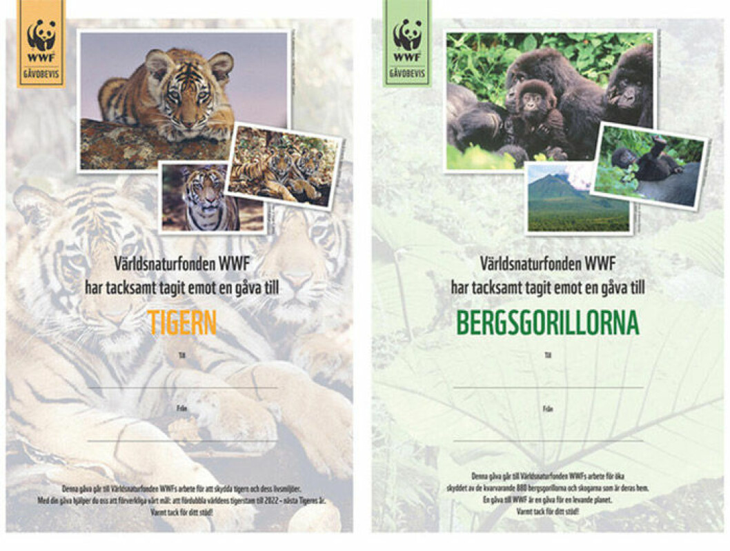wwf3