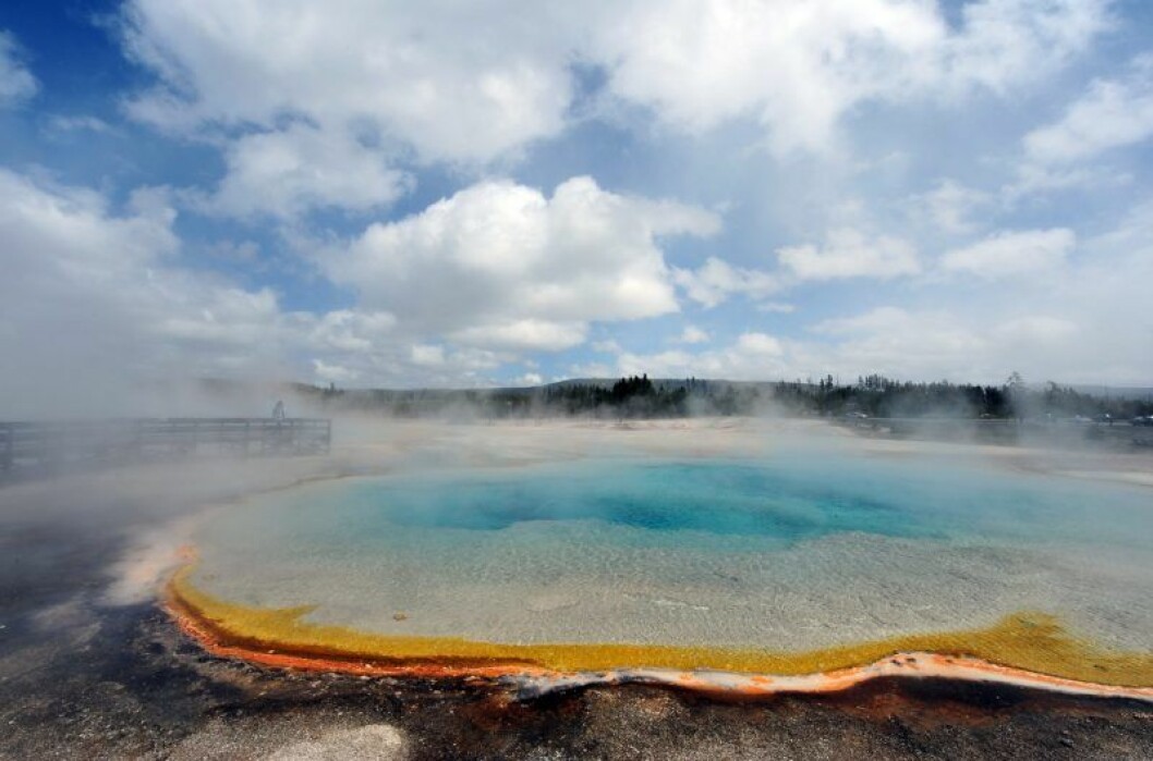 Yellowstone nationalpark i USA. en varm källa med turkost vatten och massa ånga