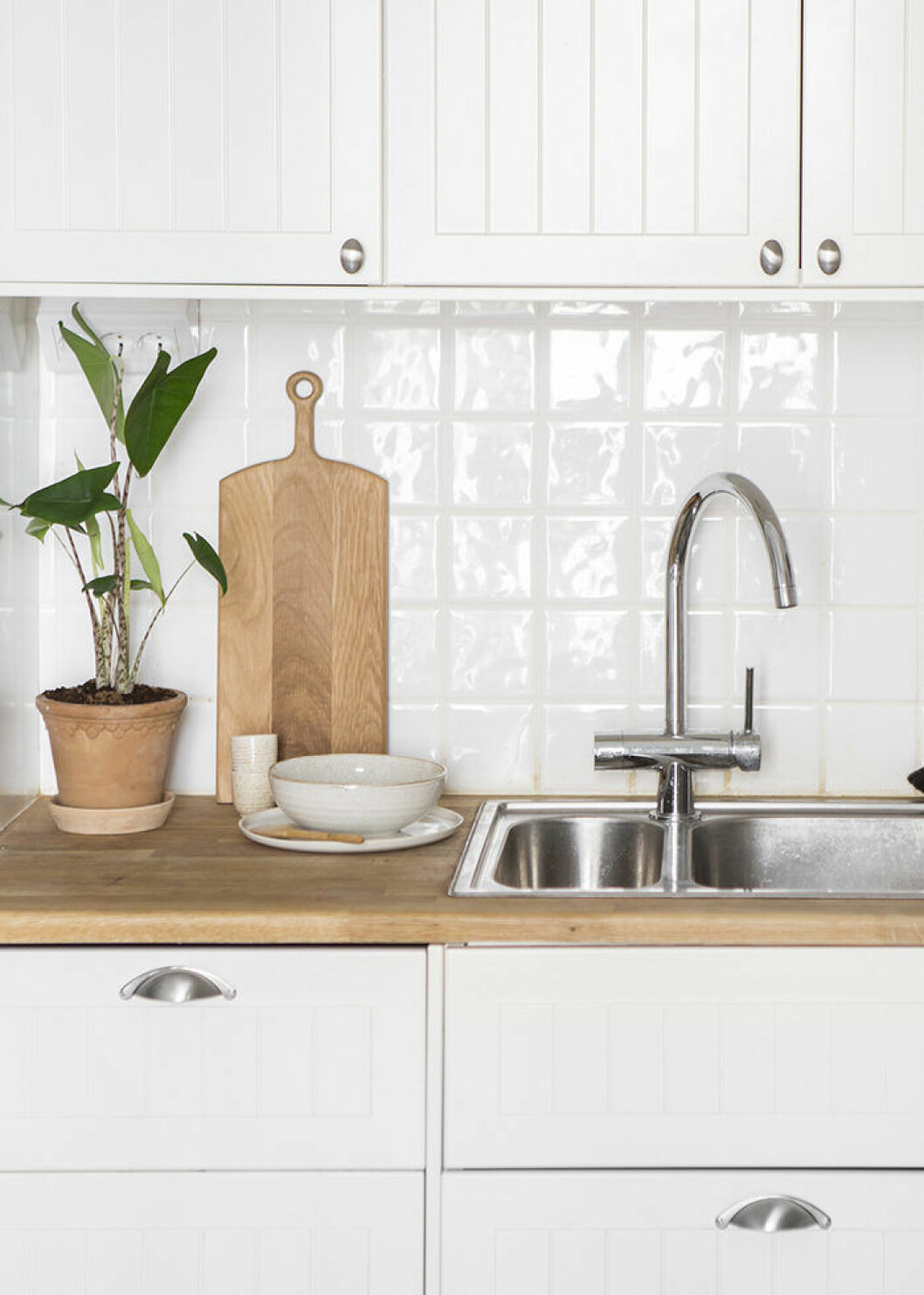 Foto: Cim Ek Styling: Greydeco för <a href="https://www.instagram.com/alvhem/" target="_blank" rel="noopener">Alvhem</a>/mäklare: Sandra Guerrero Zebraskölden är en trendig växt i hemmet 2019